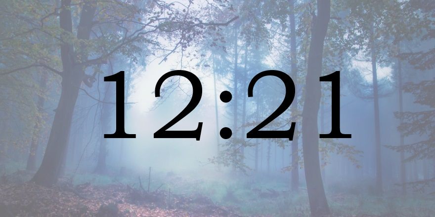 1-17-2339234
